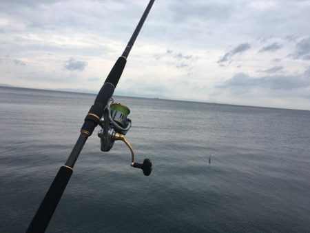 夕マヅメにジグサビキ